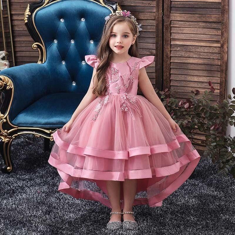 Princess Dress for Girls | Brave Princess